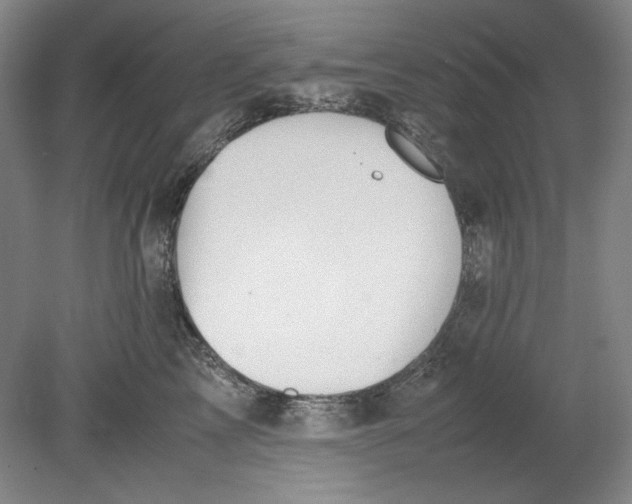 X0000080730713200701021120