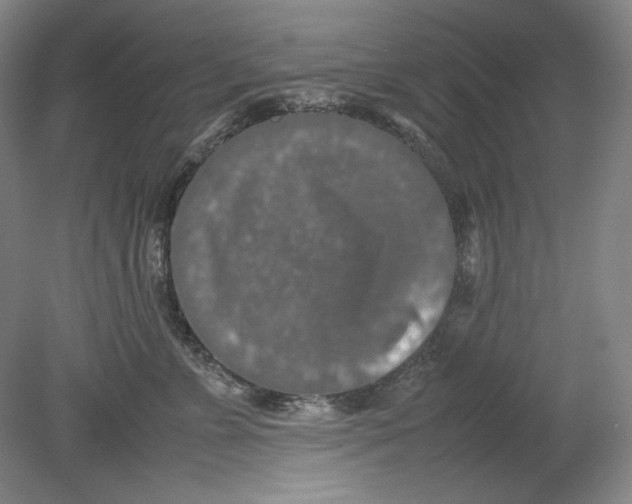 X0000080730715200701021120