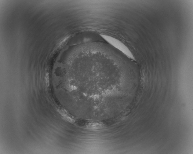 X0000080730716200701021120