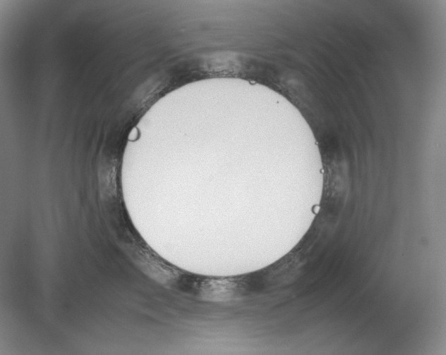 X0000080730717200701021120