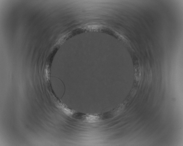 X0000080730718200701021120