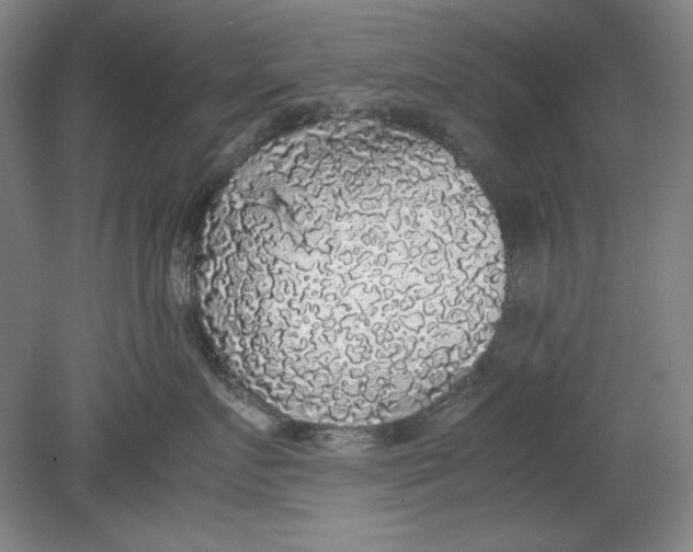 X0000080730719200701021120