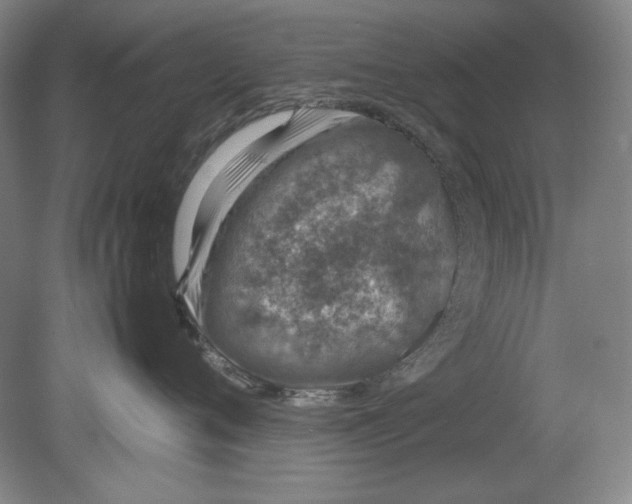 X0000080730720200701021120