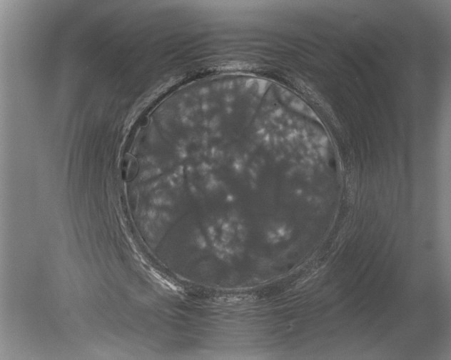 X0000080730721200701021119