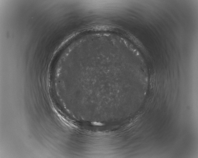 X0000080730722200701021119