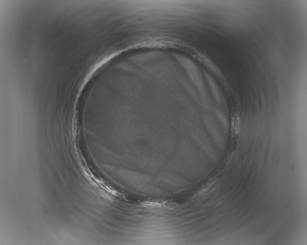 X0000080730724200701021119