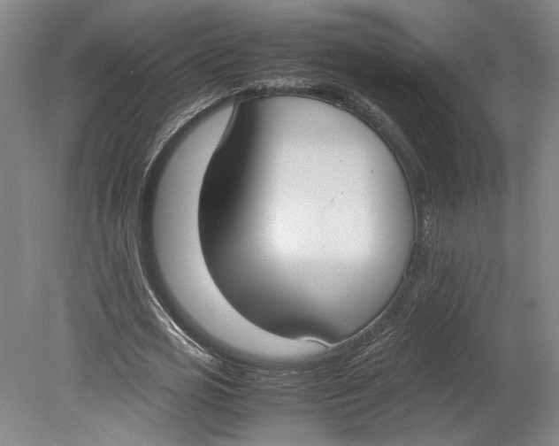 X0000080730725200701021119