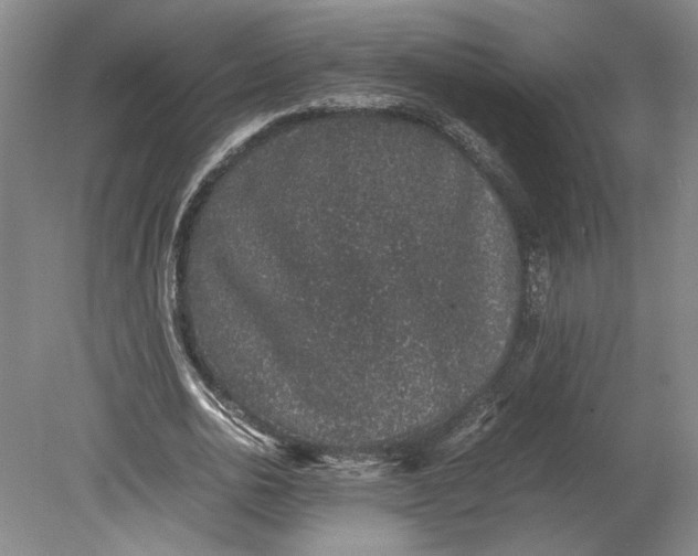 X0000080730726200701021119