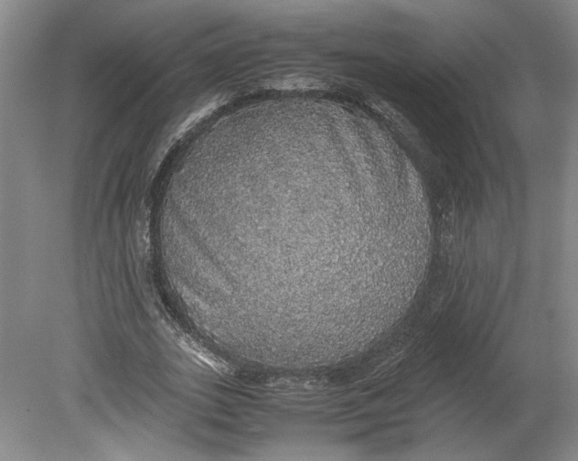 X0000080730727200701021119