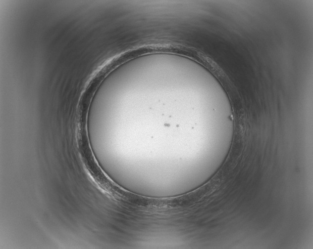 X0000080730728200701021119