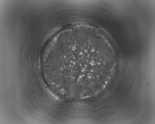 X0000080730729200701021119