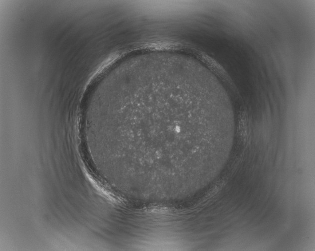 X0000080730730200701021119