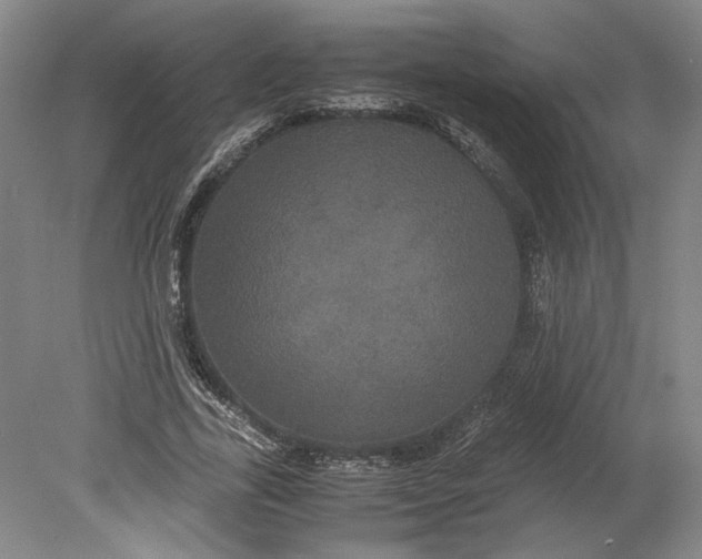 X0000080730731200701021119