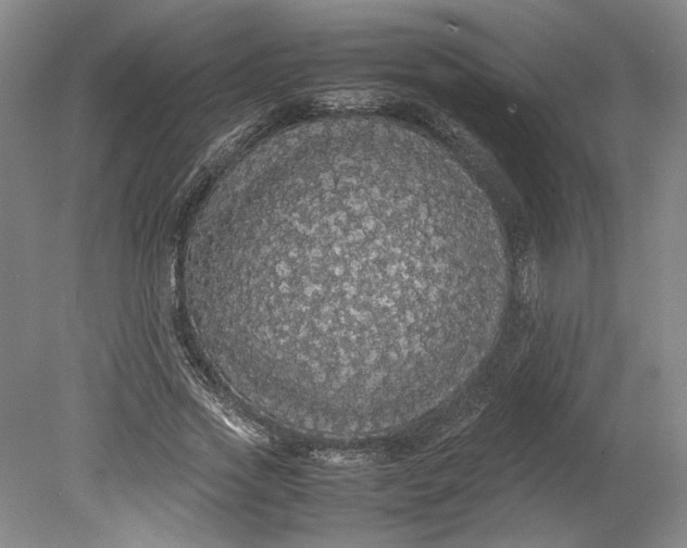 X0000080730733200701021119