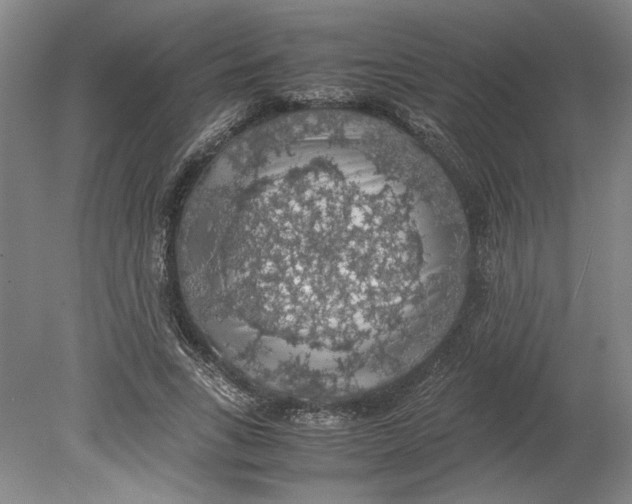 X0000080730735200701021119