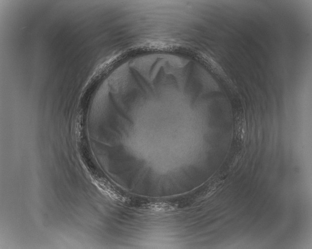 X0000080730736200701021119