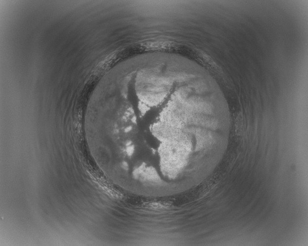 X0000080730737200701021119