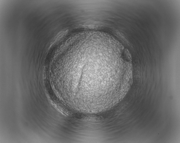 X0000080730738200701021119