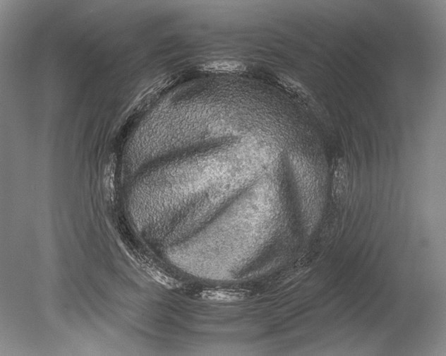 X0000080730739200701021119