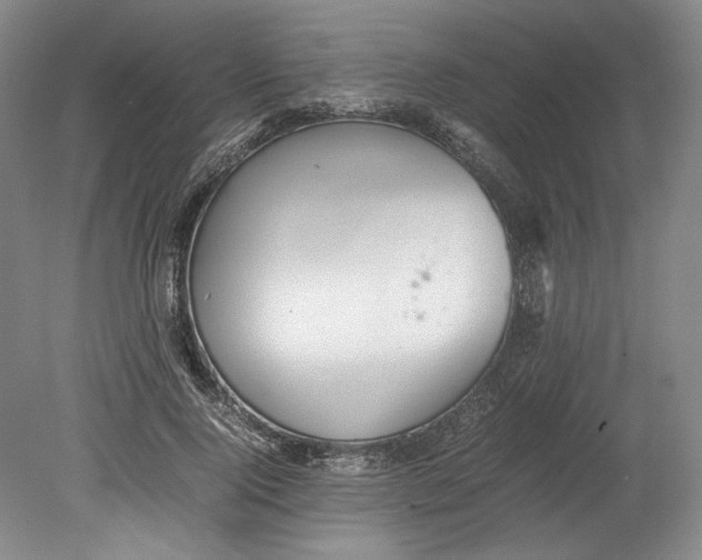 X0000080730740200701021119