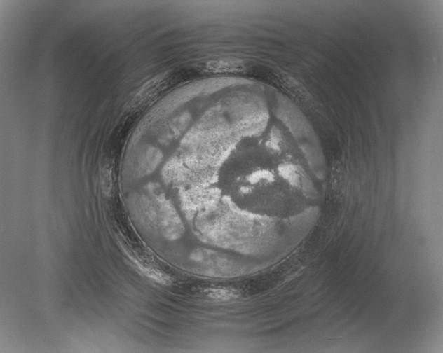 X0000080730741200701021119