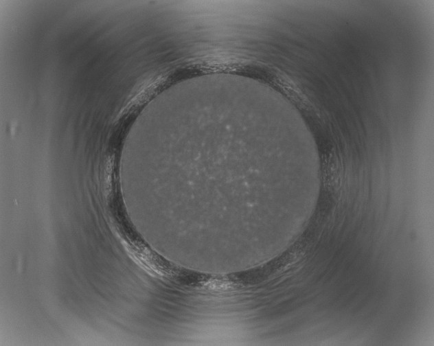 X0000080730742200701021119