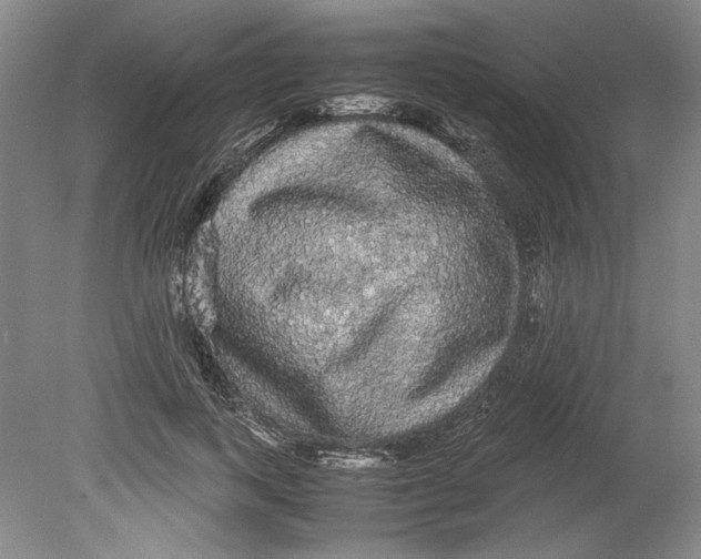 X0000080730743200701021119