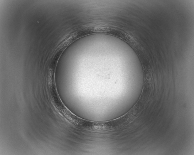 X0000080730744200701021119