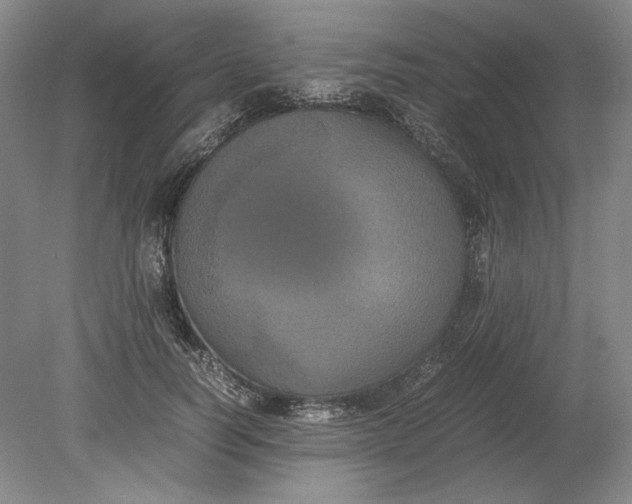 X0000080730746200701021119