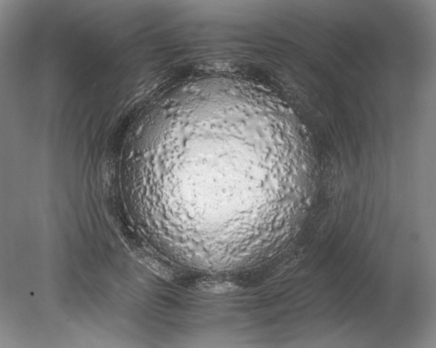 X0000080730747200701021119