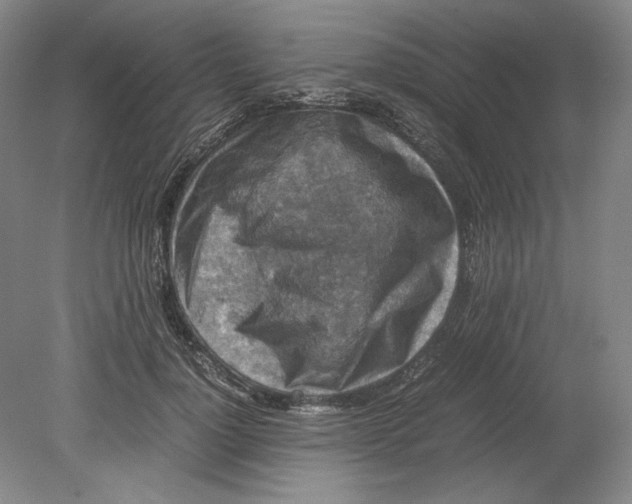 X0000080730748200701021119