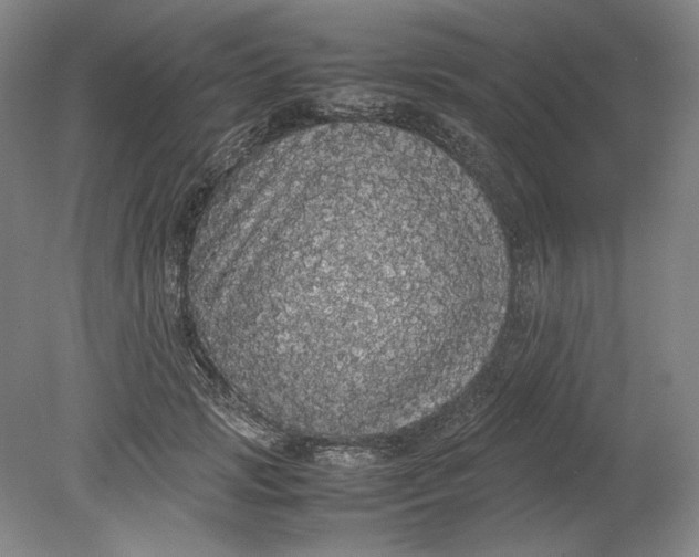 X0000080730749200701021119