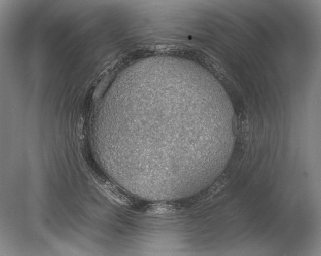 X0000080730750200701021119