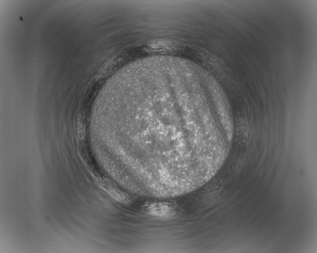 X0000080730751200701021120