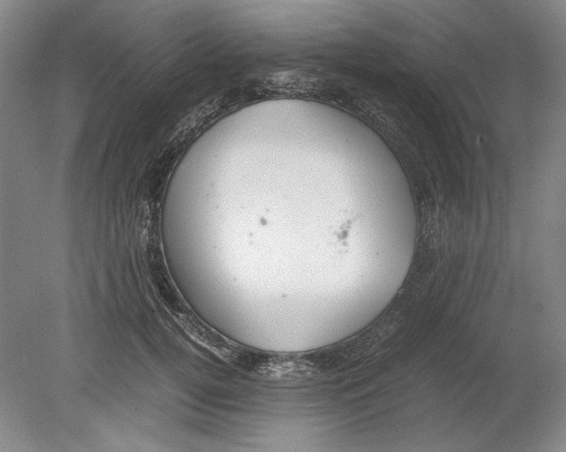 X0000080730752200701021120