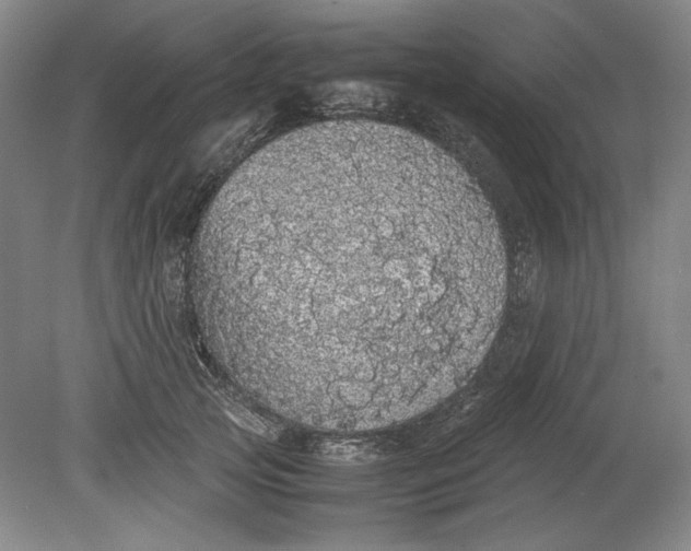 X0000080730753200701021120