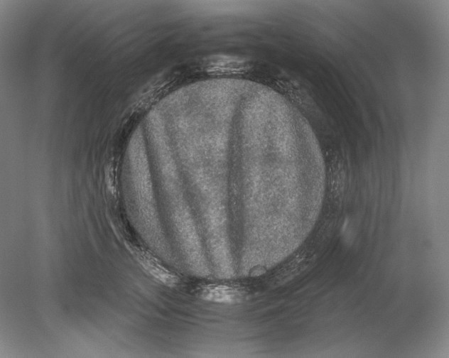 X0000080730755200701021120