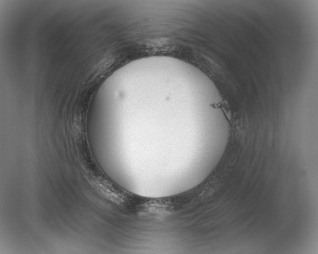 X0000080730756200701021120