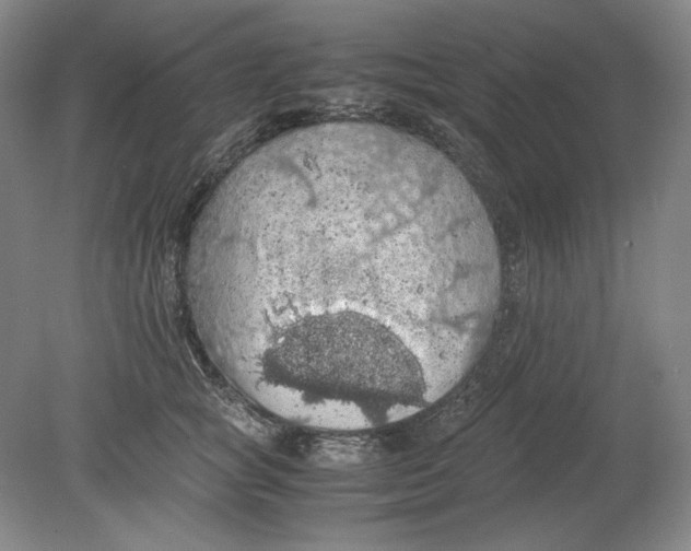 X0000080730757200701021120