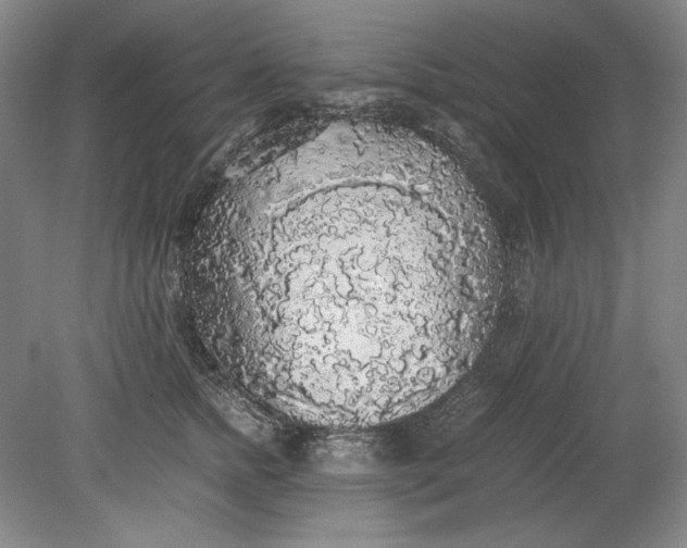 X0000080730758200701021120