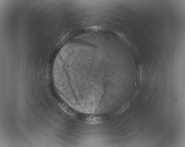 X0000080730760200701021120