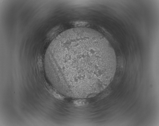 X0000080730761200701021120