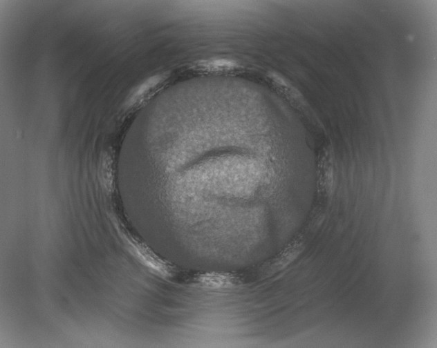 X0000080730762200701021120