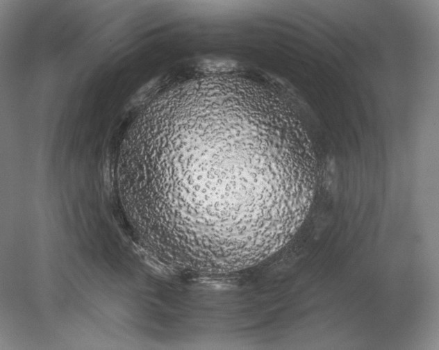 X0000080730763200701021120