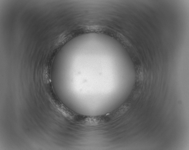 X0000080730764200701021120