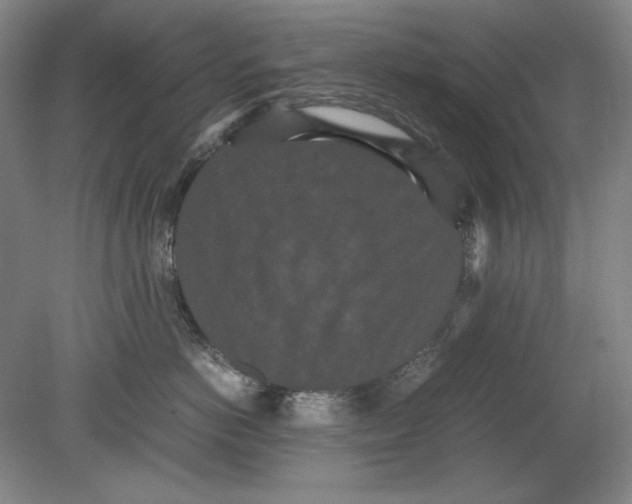 X0000080730766200701021120