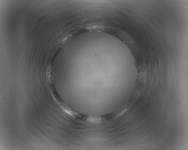 X0000080730767200701021120