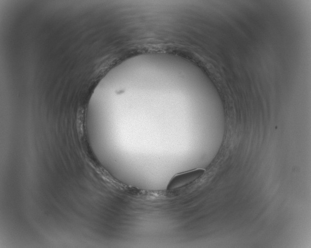 X0000080730768200701021120