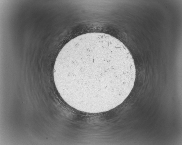 X0000080730769200701021119