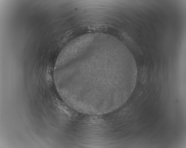 X0000080730770200701021119